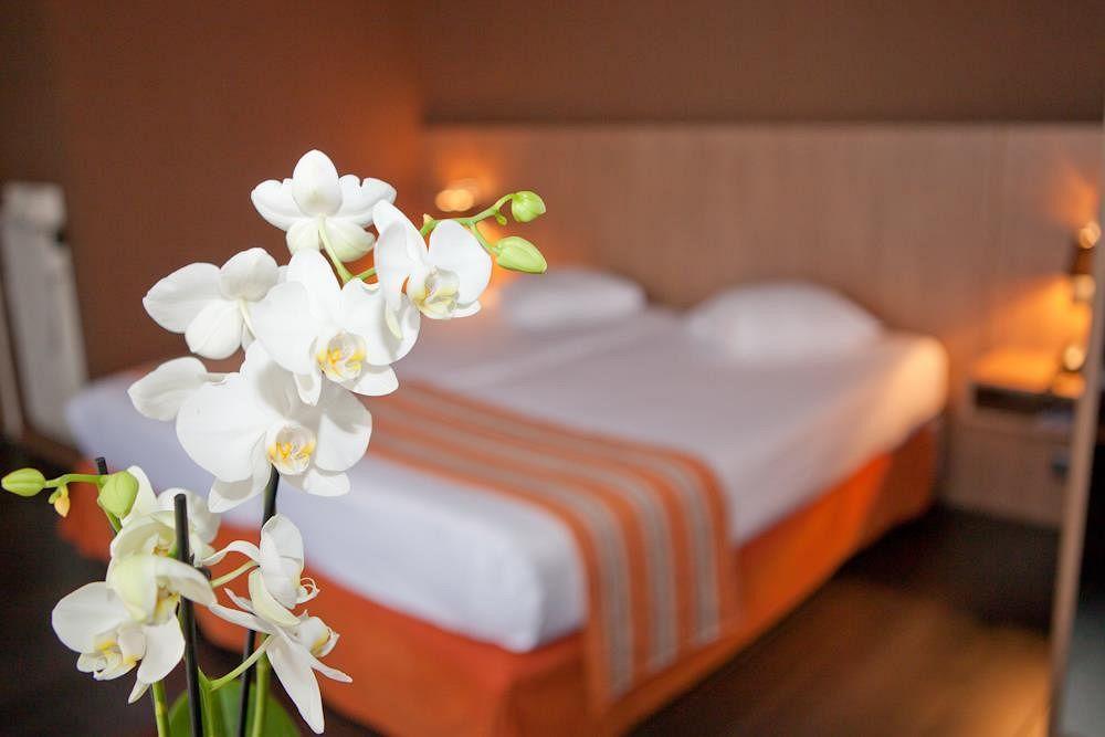 Hotel Theater Antwerp